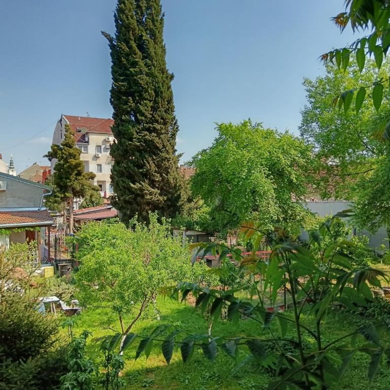 Garden view in the downtown - Apartman sa 1 Spavaćom Sobom - 21