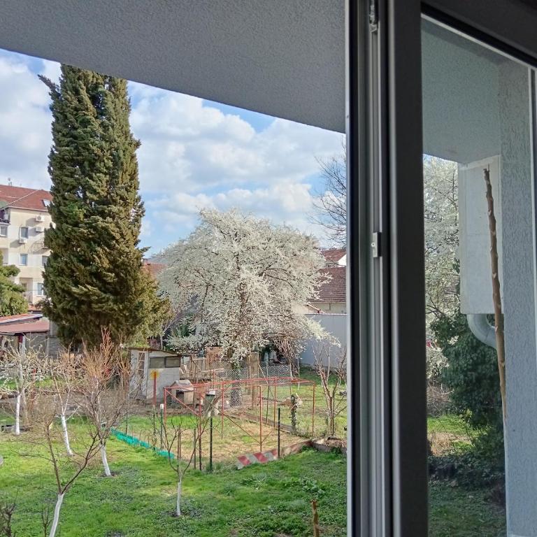 Garden view in the downtown - Apartman sa 1 Spavaćom Sobom - 19