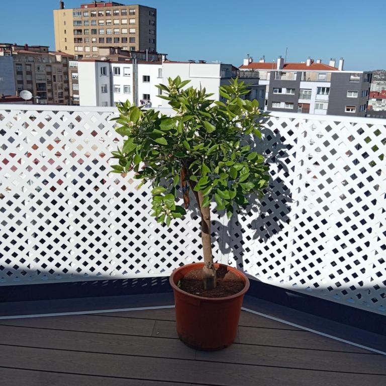 EL CAPRICHO, GRANDES VISTAS y PARKING incluido - Apartamento de 1 dormitorio - 34