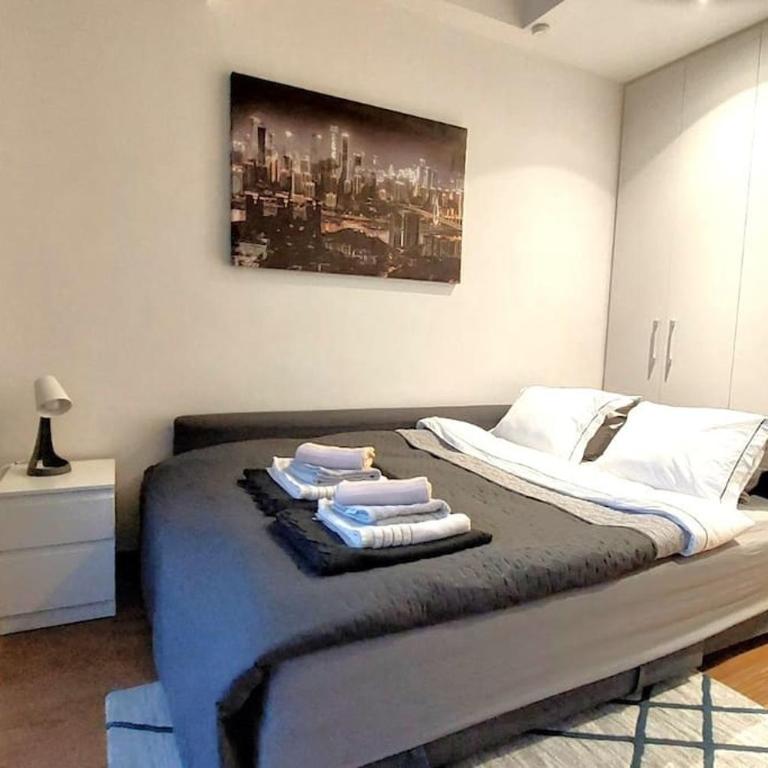 BW Central View - Belgrade Waterfront - Apartman sa 1 Spavaćom Sobom - 10