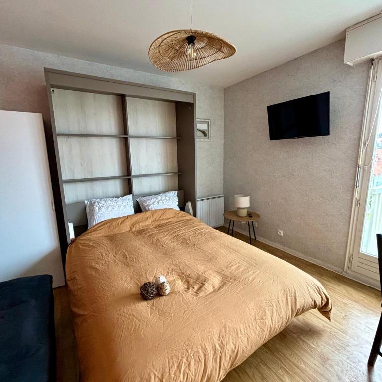 Appartement au pied de la Dune et Parking privé - Studio - 2