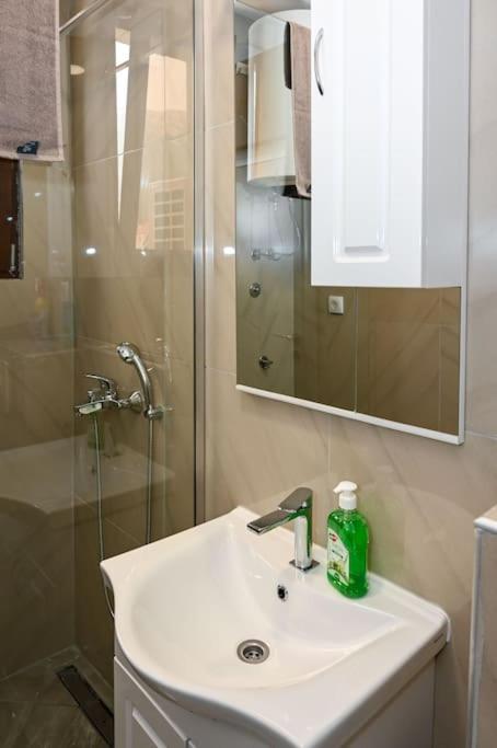 Vujovic Apartment 2 - Apartman sa 1 Spavaćom Sobom - 12