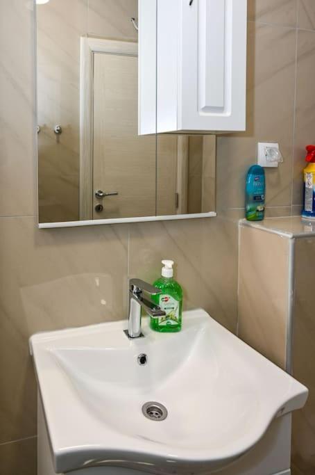 Vujovic Apartment 2 - Apartman sa 1 Spavaćom Sobom - 13