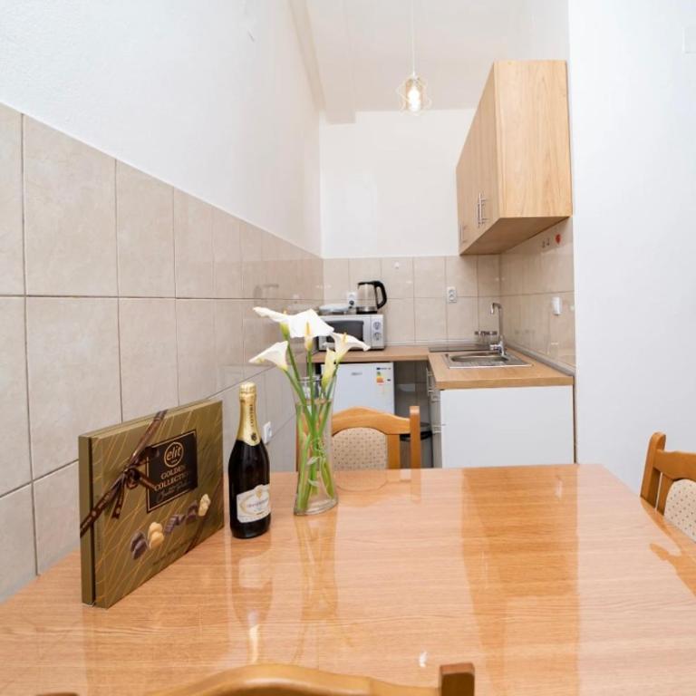 Apartment Pavle near the center with a view - Apartman sa 1 Spavaćom Sobom - 6