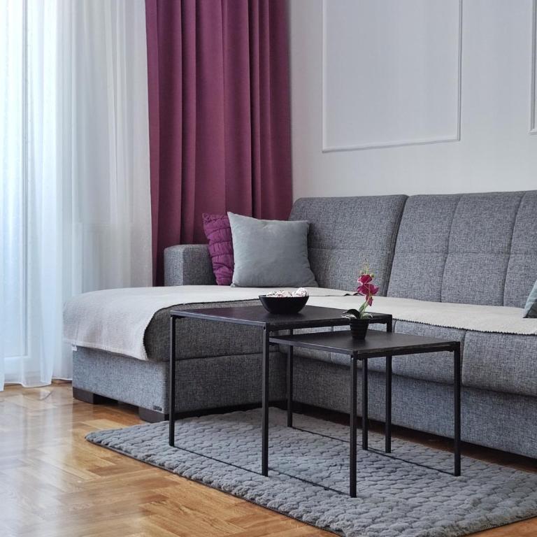 Apartman NS PRIVATE PARKING - Apartman sa 1 Spavaćom Sobom - 10