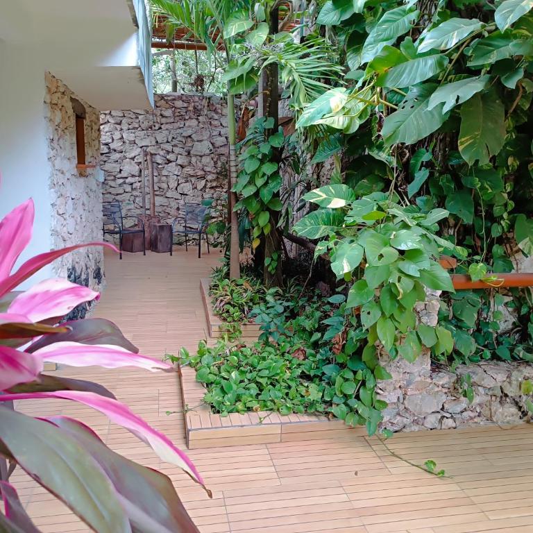 Jungle Lodge CANCUN AEROPUERTO - Habitación Deluxe - 9