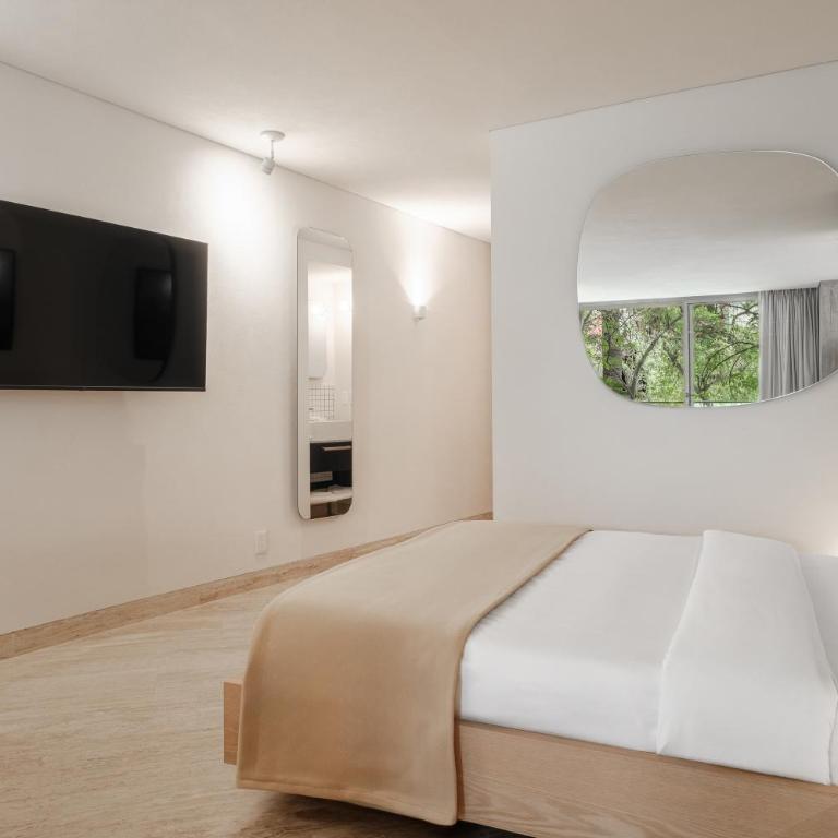 Nido Parque Mexico - Estudio Deluxe con cama grande - 9