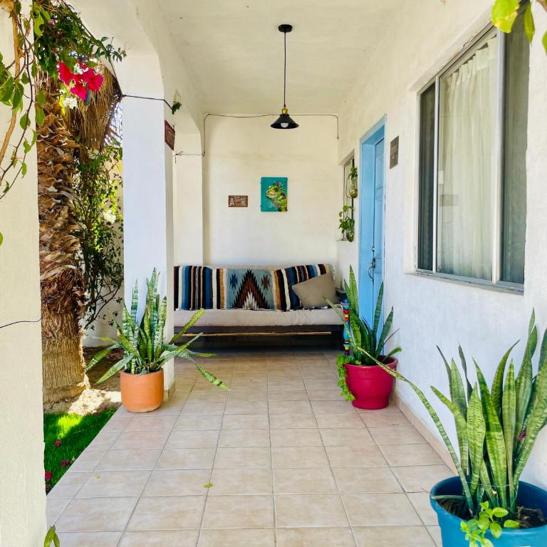 Casa Kante centro histórico 2bed 2Bath parking - Casa de 2 dormitorios - 31