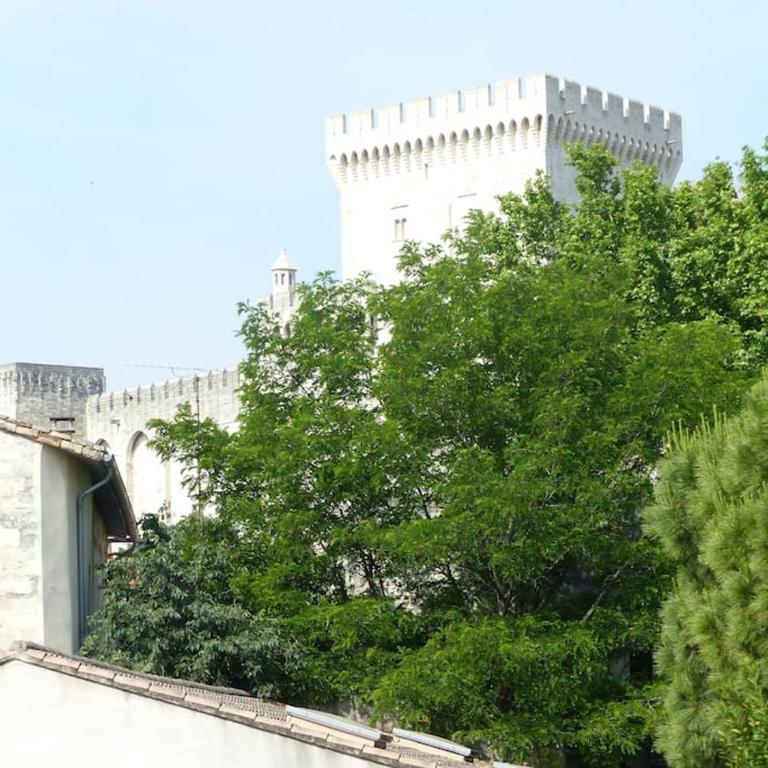 Studio climatisé proche PALAIS DES PAPES WIFI - Apartment mit 1 Schlafzimmer - 10