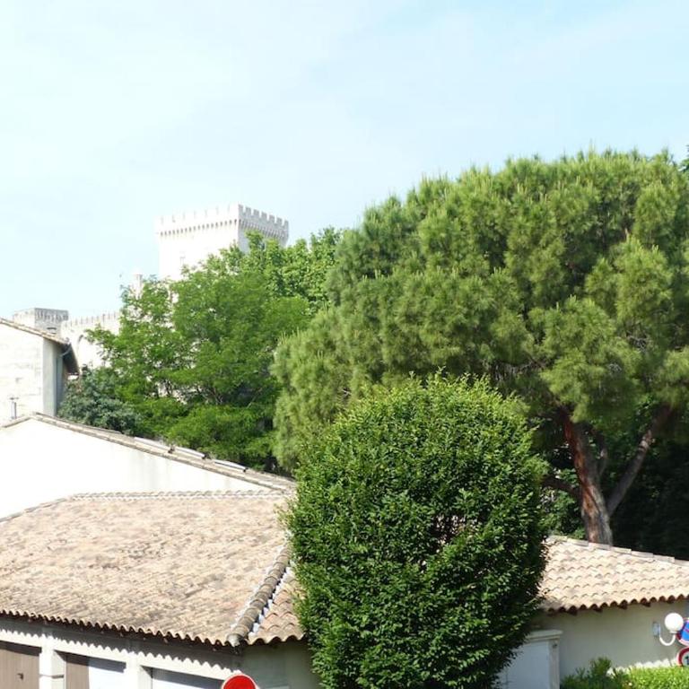 Studio climatisé proche PALAIS DES PAPES WIFI - Apartment mit 1 Schlafzimmer - 11