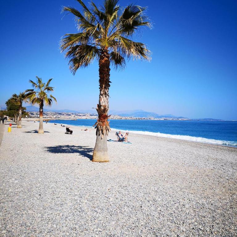 Spacieux 2 chambres 65m2 climatisé au village médiéval entre Nice et Antibes - Appartamento con 2 Camere da Letto, Balcone e Terrazza - 23