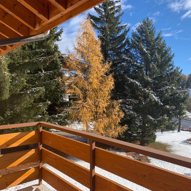 La Jacinthe de Crans - Appartement 2 Chambres - 42