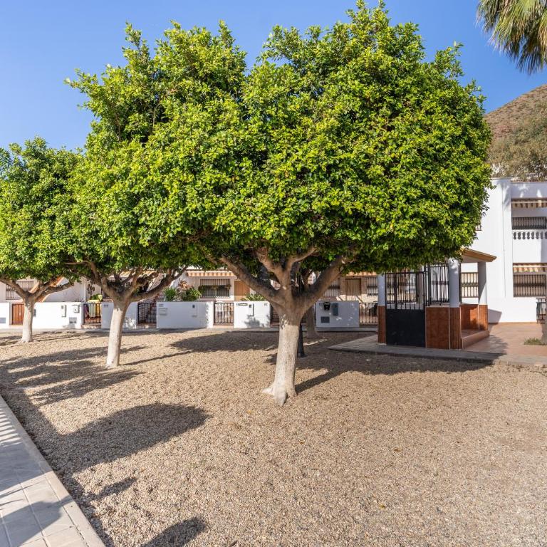 Casa Eloriou - San José - Apartamento de 2 dormitorios - 31