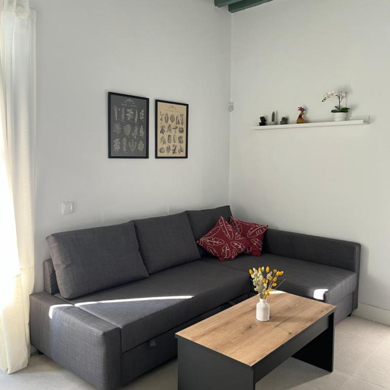The Sunnydise Apartments - Apartamento Superior de 1 dormitorio - 11