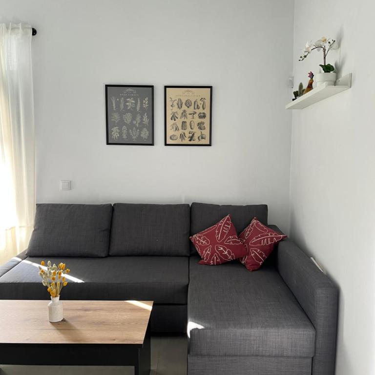 The Sunnydise Apartments - Apartamento Superior de 1 dormitorio - 16