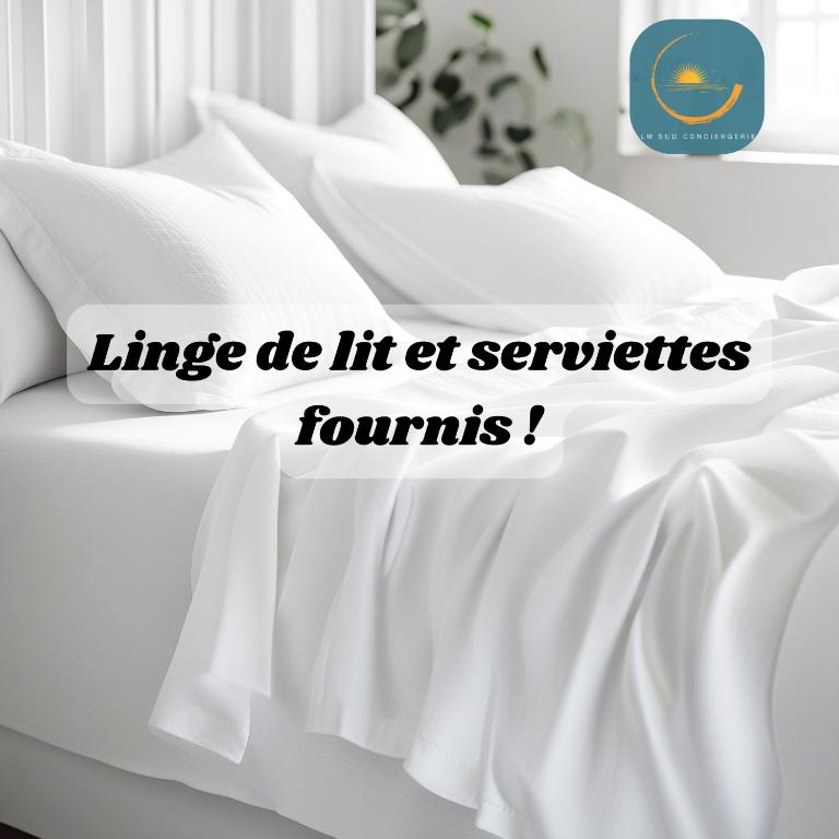 Sète - Cœur de ville et Halles - Apartment mit 1 Schlafzimmer - 32