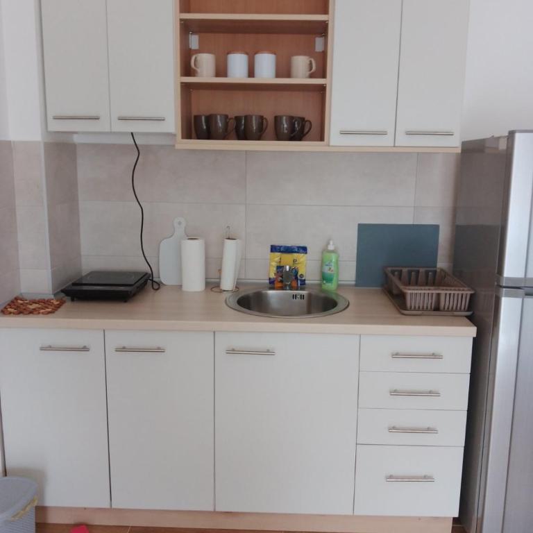 Vesna M - Apartman sa 1 Spavaćom Sobom - 8