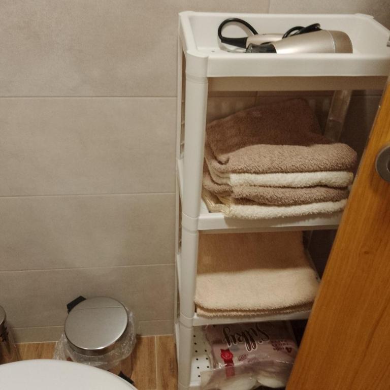 Vesna M - Apartman sa 1 Spavaćom Sobom - 19