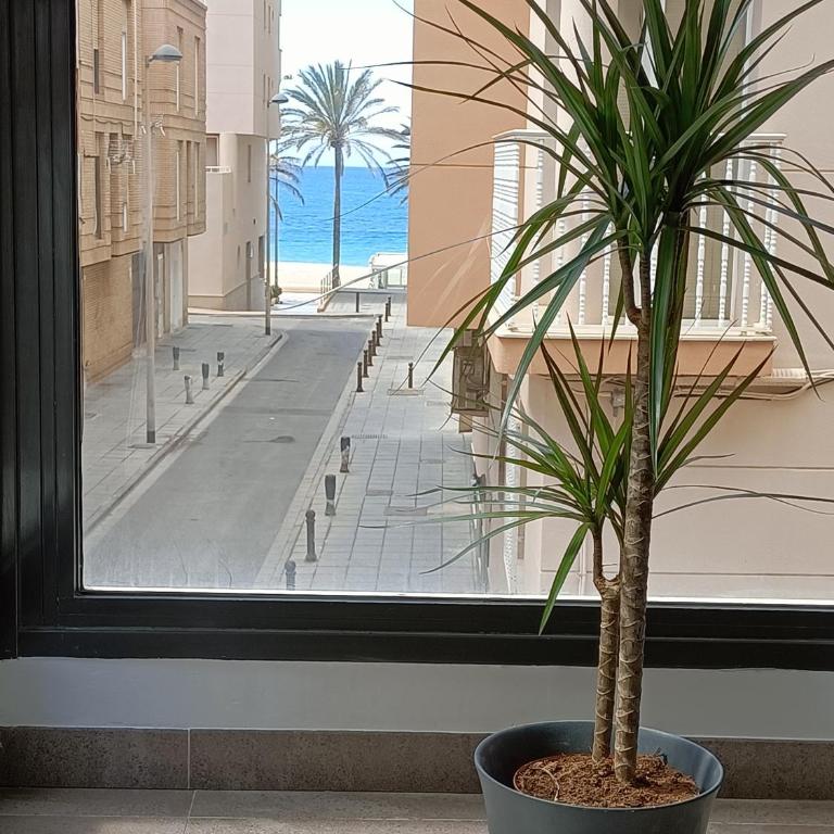 Apartamento El Zapillo III - Apartamento de 1 dormitorio - 1