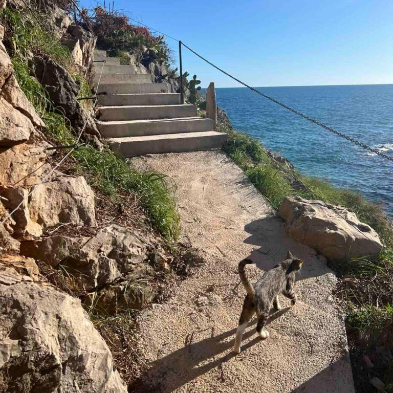 Apartments BABKO - Apartment with Sea View - 29