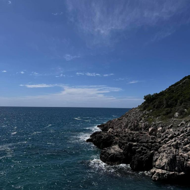 Apartments BABKO - Apartment with Sea View - 27