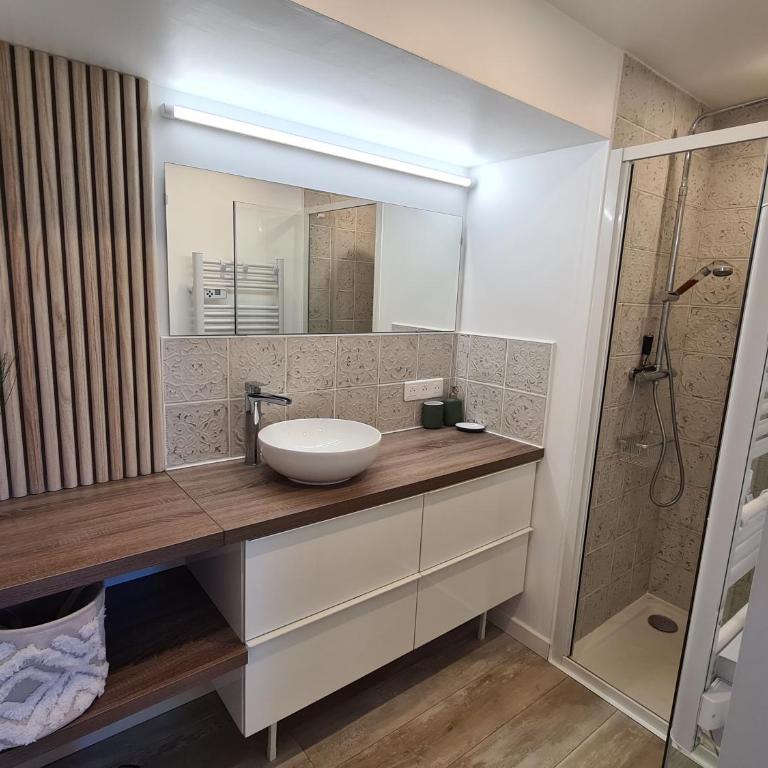 Petit coin de paradis les pieds dans l’eau - Appartement 1 Chambre - 24