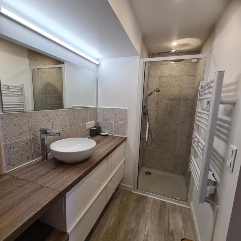 Petit coin de paradis les pieds dans l’eau - Appartement 1 Chambre - 23