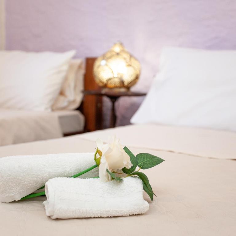 Villa Niloan Olbia - Villa con 2 Camere da Letto - 39