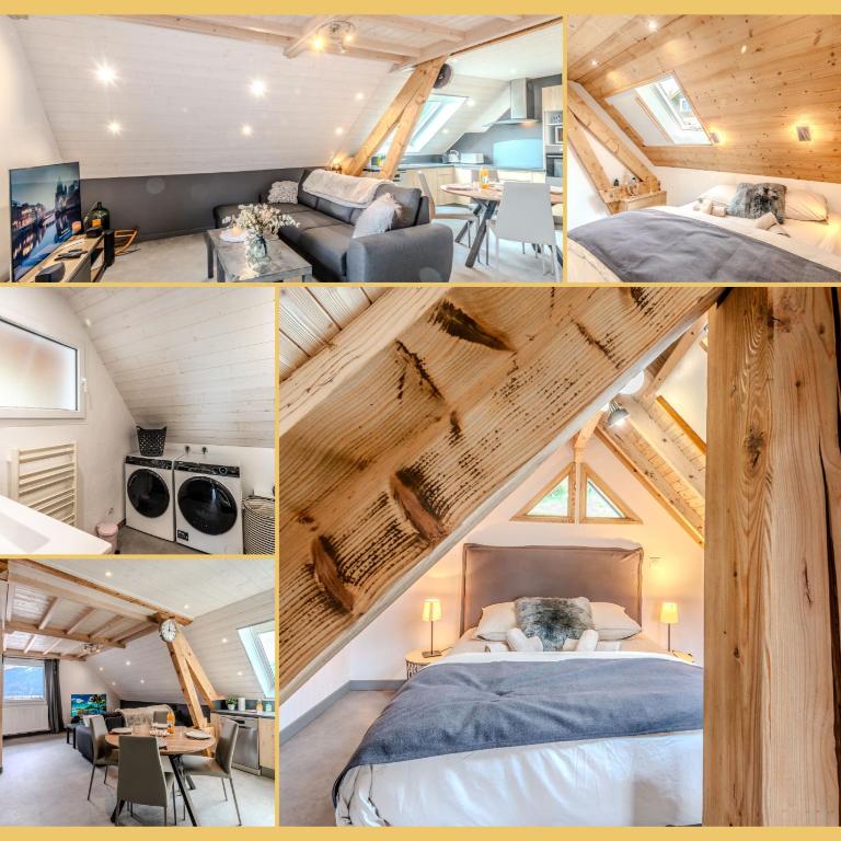 Chez Marie I T3 I Viuz - Appartement 2 Chambres - 3