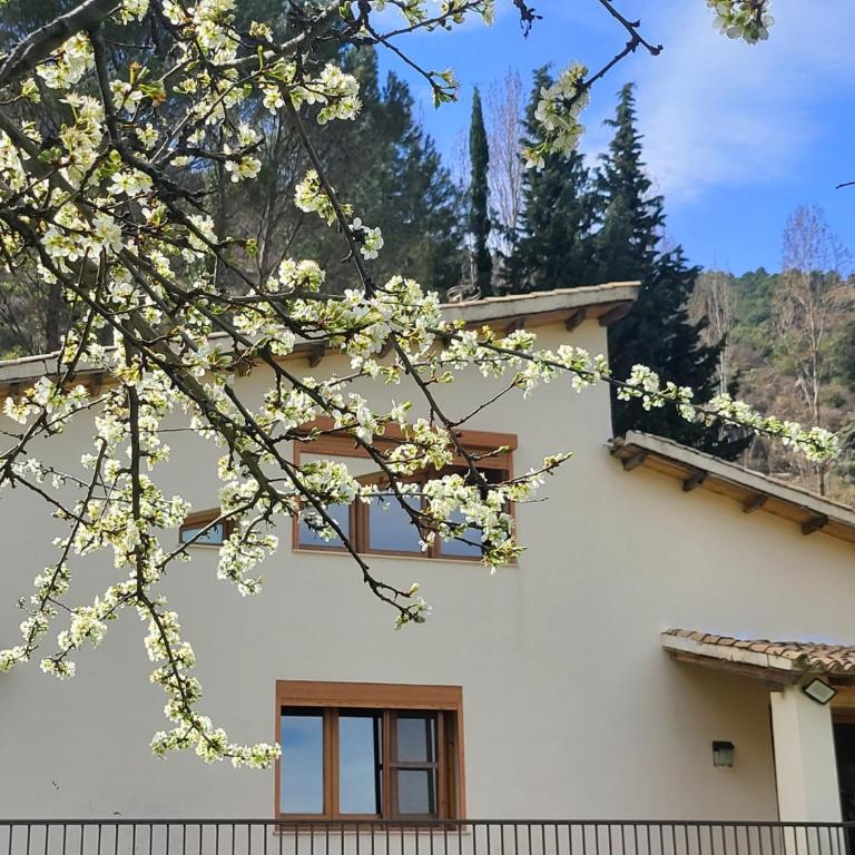 CASA MONTEPINAR - Casa de 3 dormitorios - 1