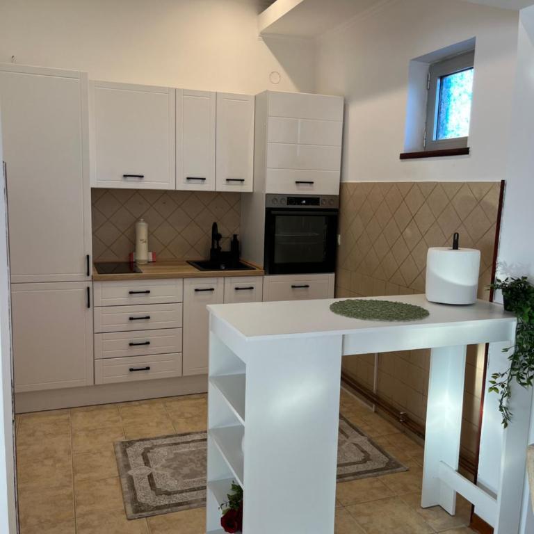 Airport SKY apartments LUX II - Apartman sa 2 Spavaće Sobe - 6