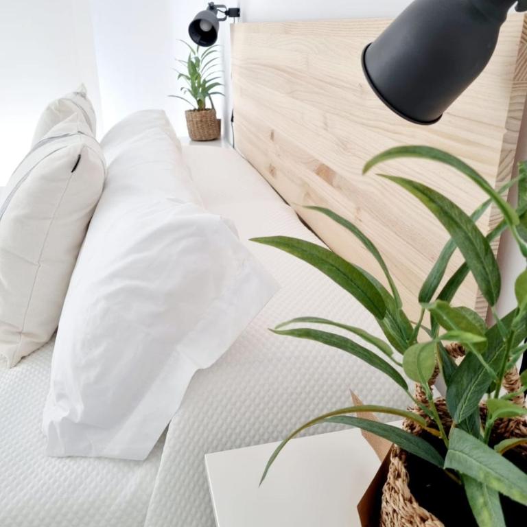 Adosadito Playa Oliva - Apartamento de 1 dormitorio - 20
