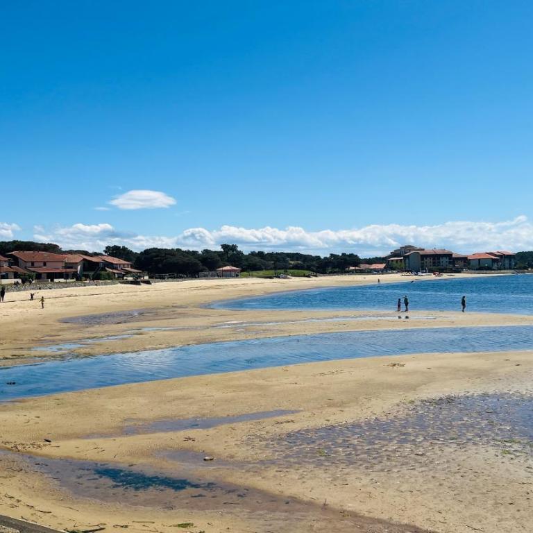 Villa Indépendante tout confort Soustons Plage Golf à 900m wifi Bbq - Villa 3 Chambres - 22