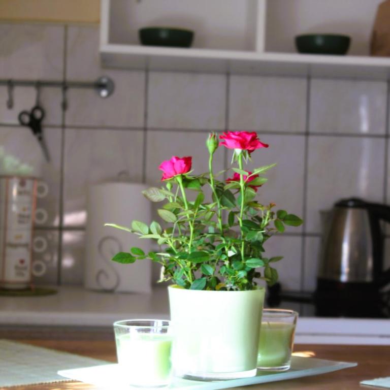 Svila Apartmani - One-Bedroom Apartment - 2