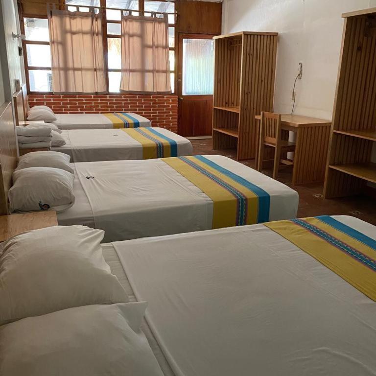 Hotel y Bungalows Acuario - Habitación Familiar con balcón - 9
