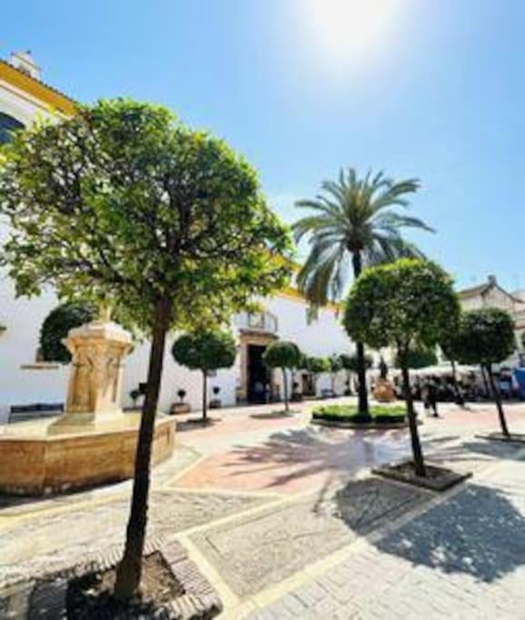 Logement vieux centre Marbella - One-Bedroom Apartment - 11