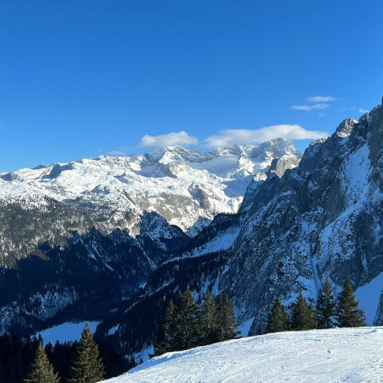 Chalet Bischofsmütze - Direkt an der Skipiste im Skigebiet Dachstein West - Chalet - 42