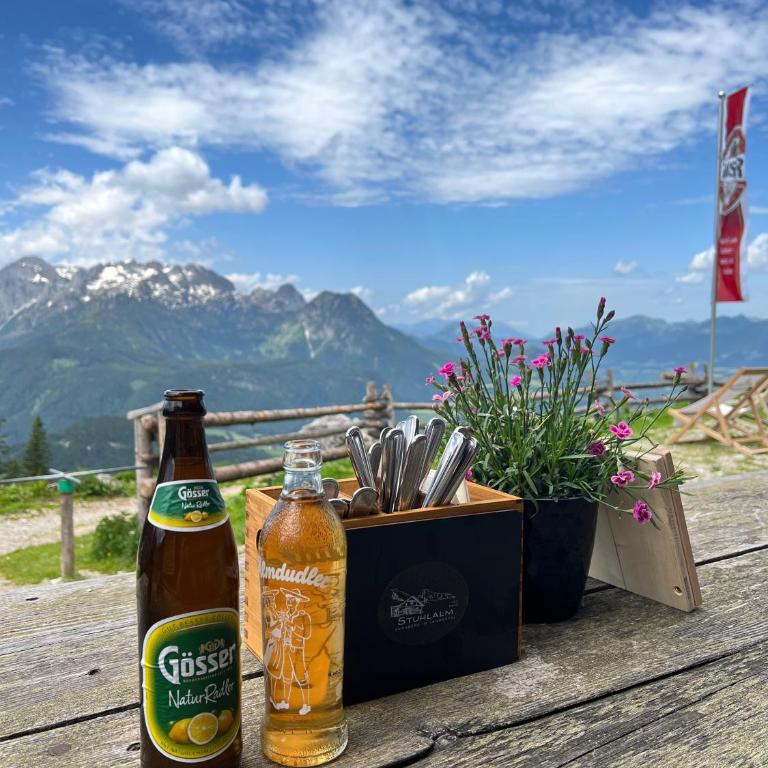 Chalet Bischofsmütze - Direkt an der Skipiste im Skigebiet Dachstein West - Chalet - 49