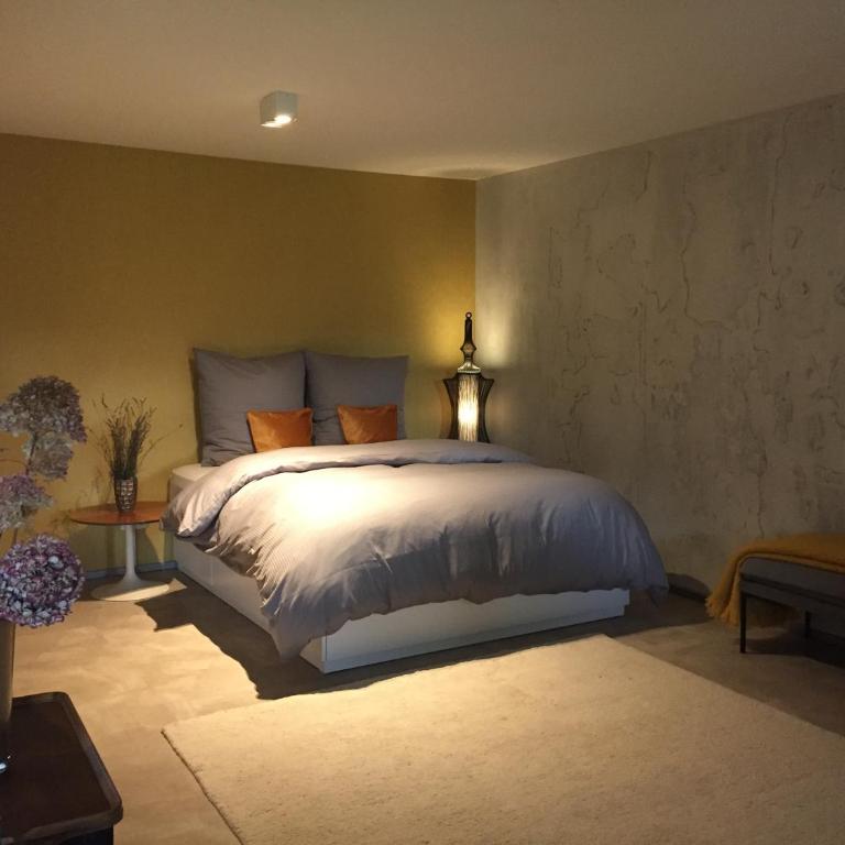 Exklusiver Souterrain - zentral, ruhig mit großer Terrasse, Bergblick und privaten Sauna zzgl - Apartment mit 1 Schlafzimmer - 4