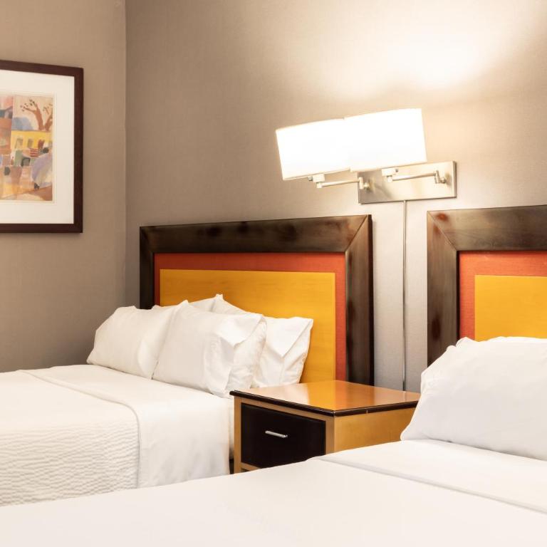 Holiday Inn Express Puerto Madero by IHG - Habitación Estándar con 2 camas grandes y espacio adicional - 2