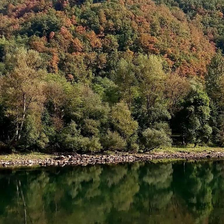 Drinska Dama - Kuća sa 3 Spavaće Sobe - 14