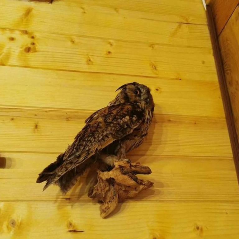 Drinska Dama - Kuća sa 3 Spavaće Sobe - 27