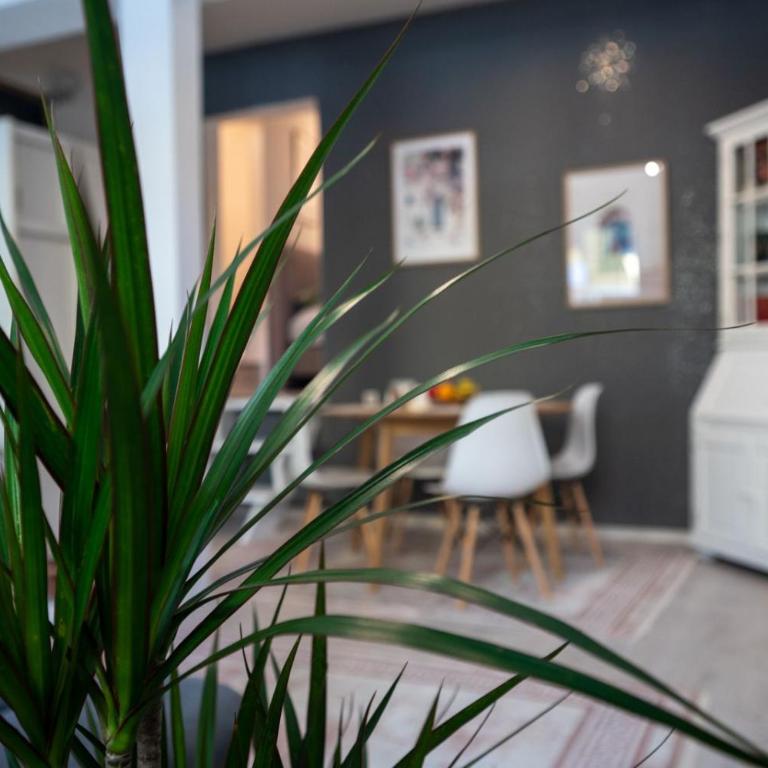 Apartman Miljacka - Apartman sa 1 Spavaćom Sobom - 7