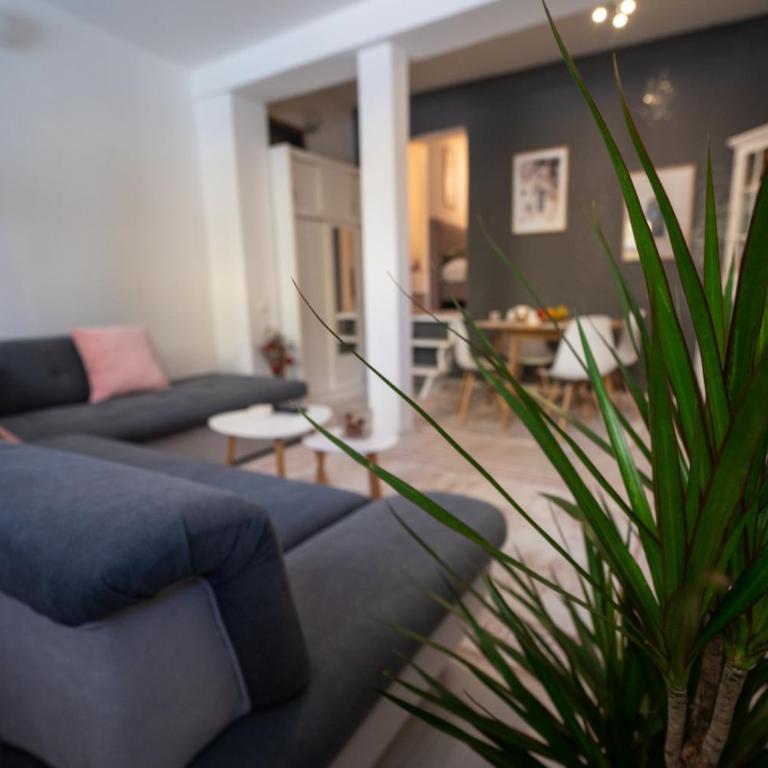 Apartman Miljacka - Apartman sa 1 Spavaćom Sobom - 13