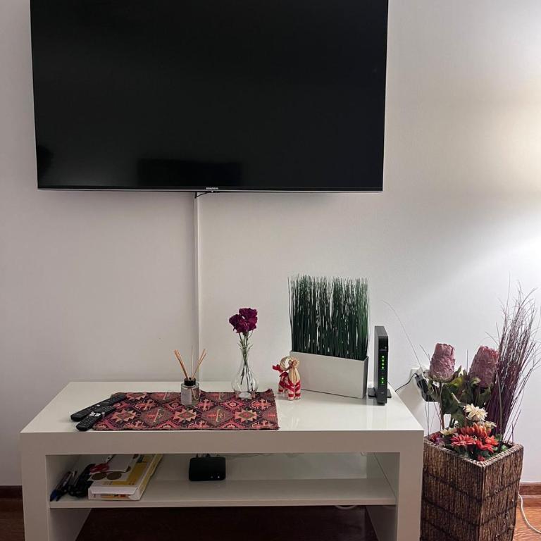 Kalemegdan centar - Apartman sa 1 Spavaćom Sobom - 4