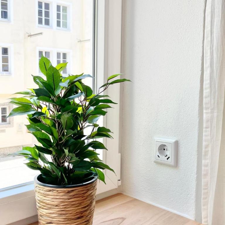 StayNature 2BR App. Altstadt - Apartment mit 2 Schlafzimmern - 18
