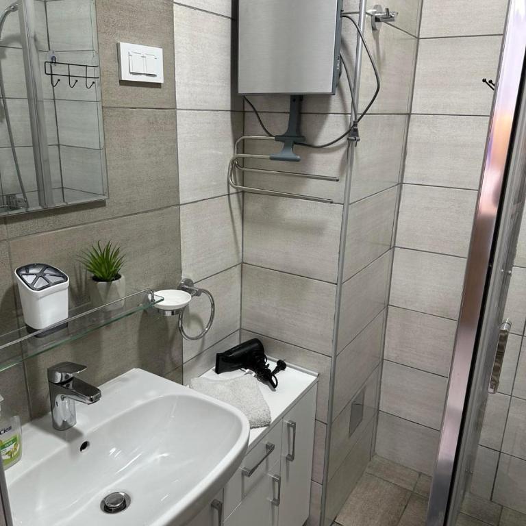 apartmanjagodinaana - Apartman sa 1 Spavaćom Sobom - 12