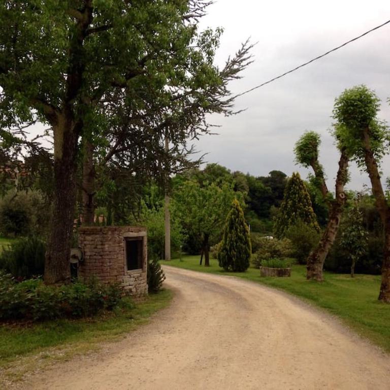 “Il Nespolino” Tuscan Country House - Appartamento con 1 Camera da Letto - 4