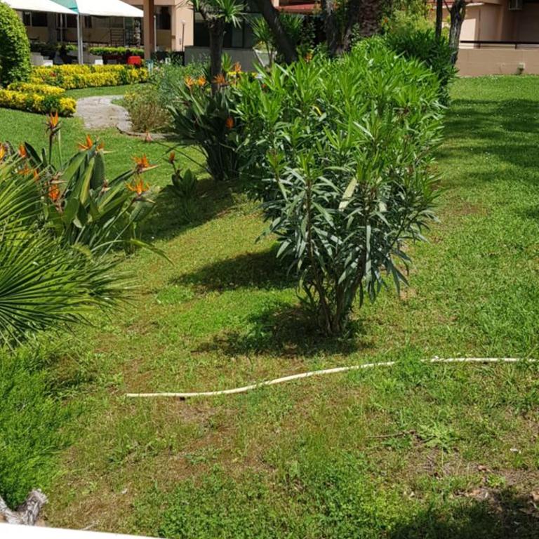Green Oasis - Appartamento Deluxe con 1 Camera da Letto e Vista Giardino - 18