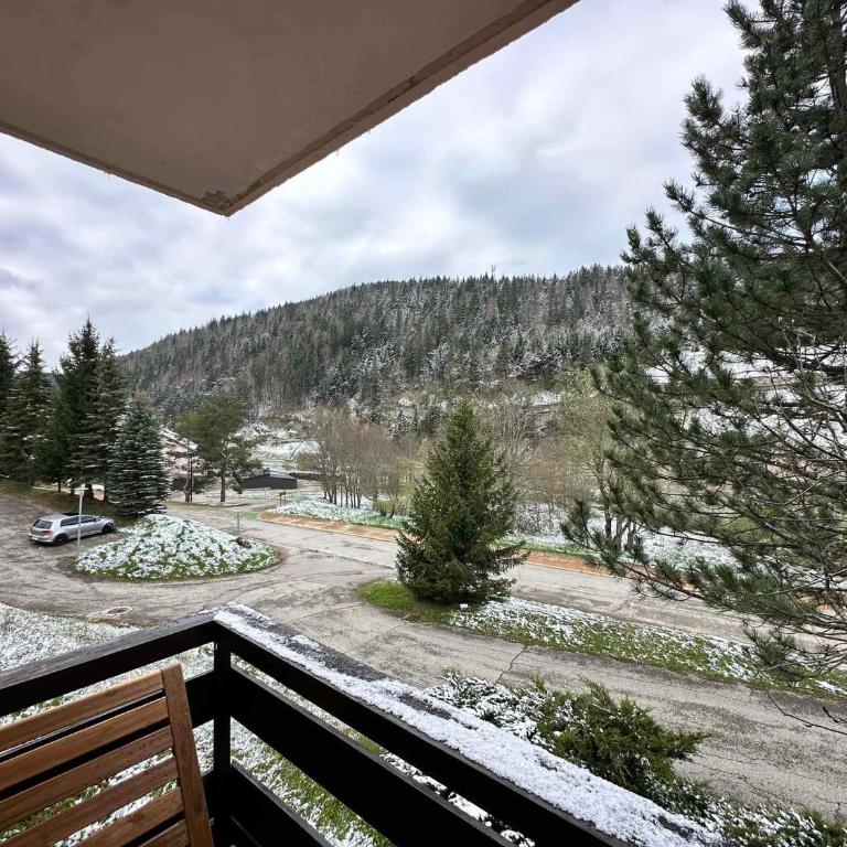 Appartement cosy proche centre, terrasse vue Bois Barbu - FR-1-515-209 - Apartment - 7